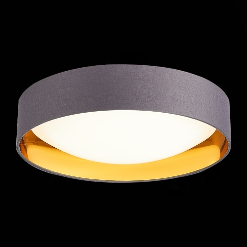 SLE201112-01 Светильник потолочный Серый, Золотистый/Белый LED 1*24W 4000K ORBIO