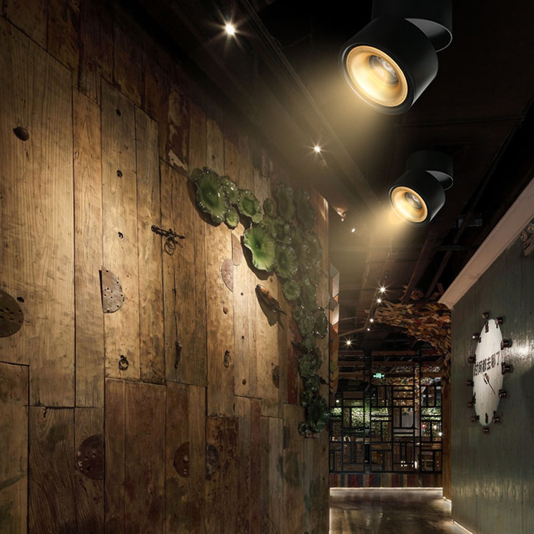 Потолочный светильник AGENDA black+gold 10W 191830-26