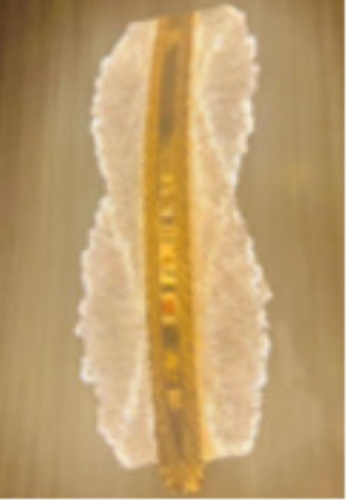 https://wbs.e-teleport.ru/Catalog_Pics/1975ca58d29700d4aaab263e2512876f.jpg