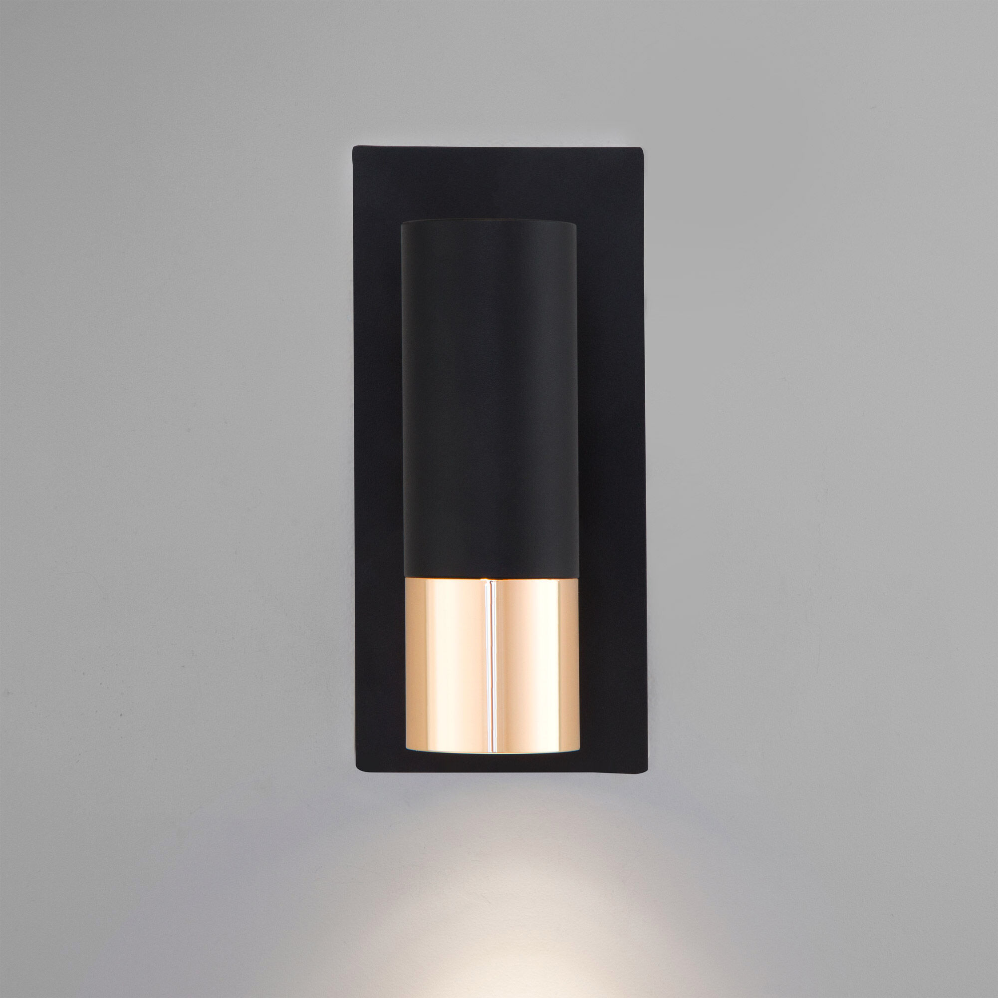 Настенный светильник Eurosvet 20142/1 LED черный/золото