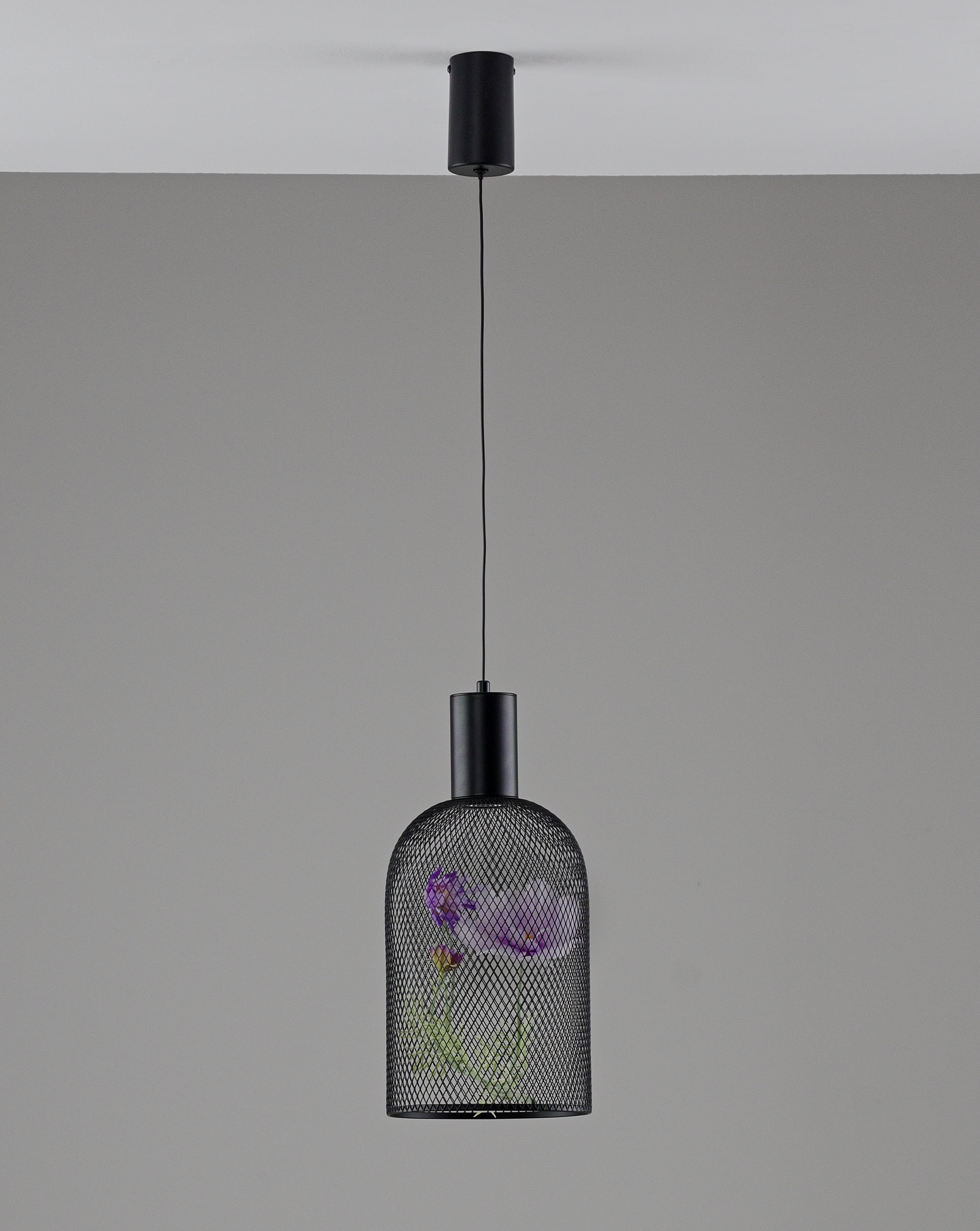 Светильник подвесной светодиодный Moderli V11874-PL Ophelia