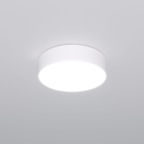 Потолочный светильник Eurosvet 90318/1 белый