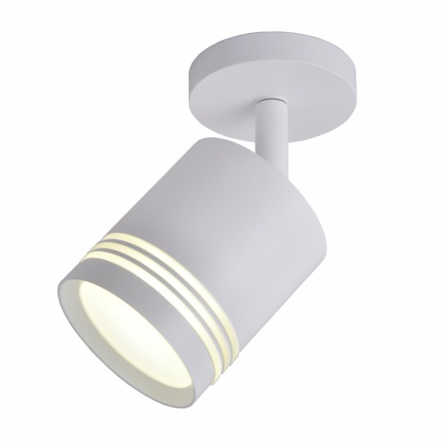 Настенно-потолочный светильник Favourite 3065-1U