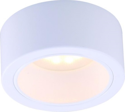 Накладной светильник Arte lamp A5553PL-1WH