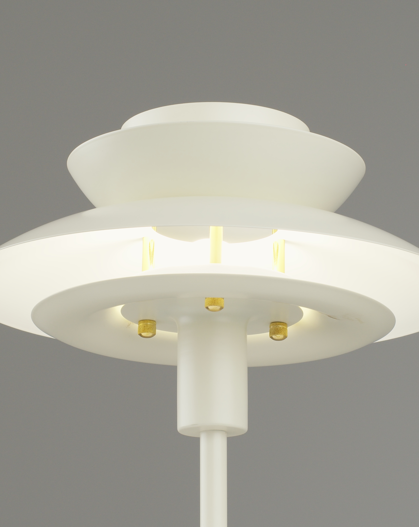 Лампа настольная Moderli V11297-1T Shaggy