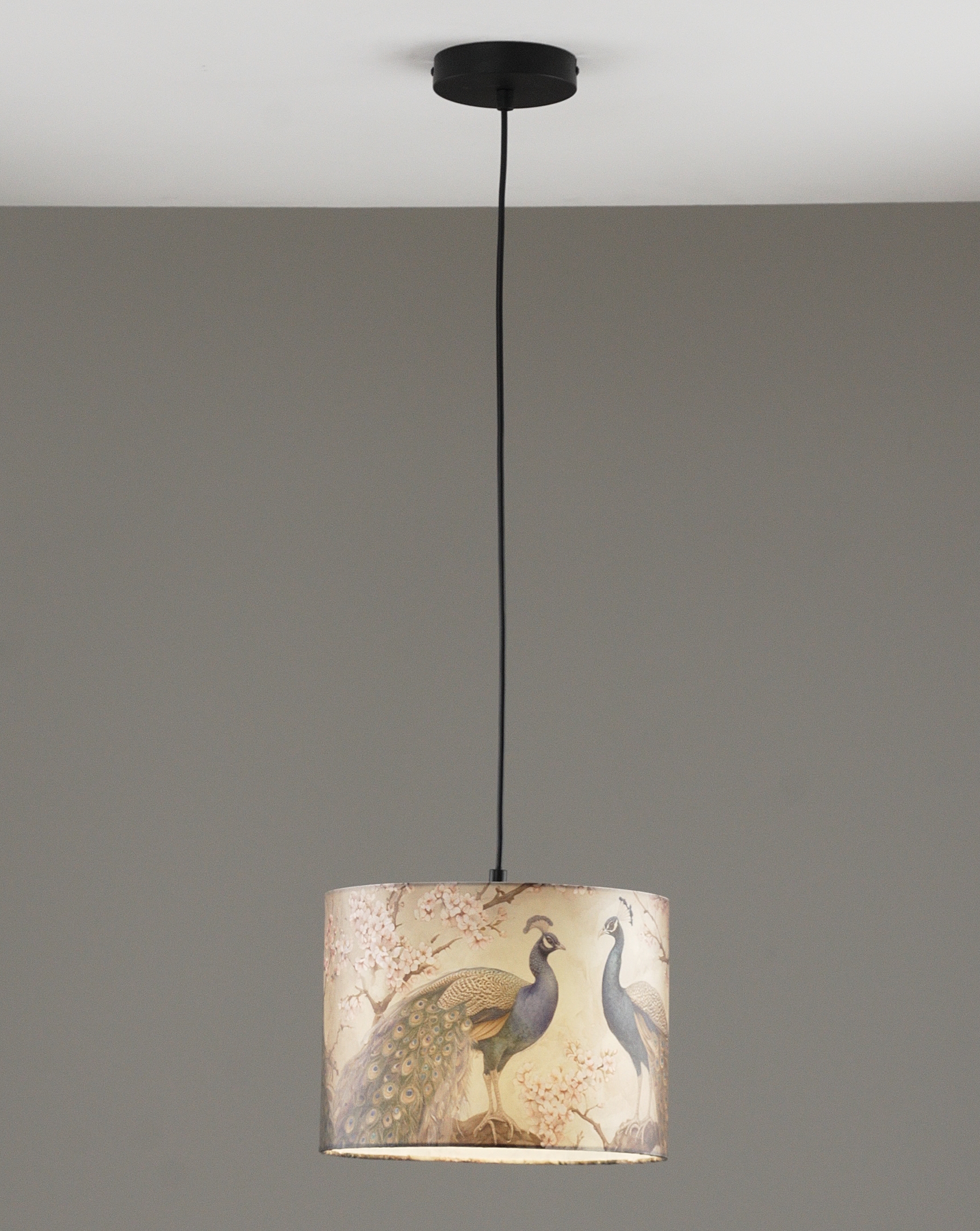 Светильник подвесной Moderli V11514-1P Strauss