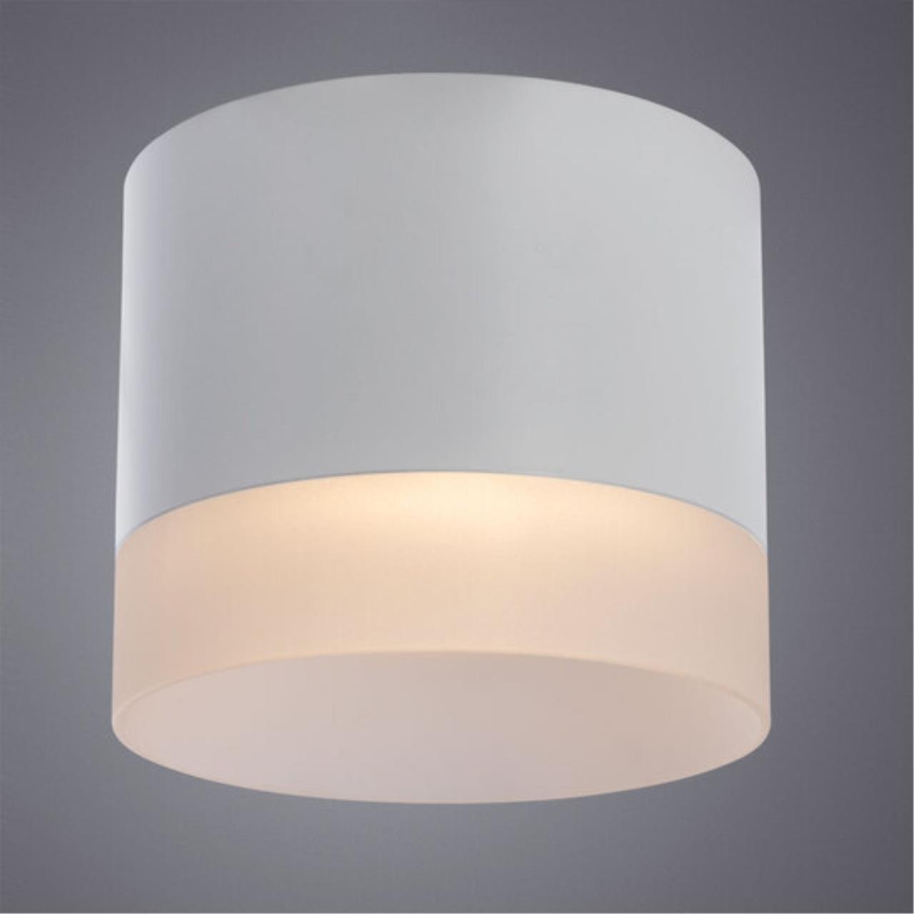 Накладной светильник Arte lamp A5554PL-1WH