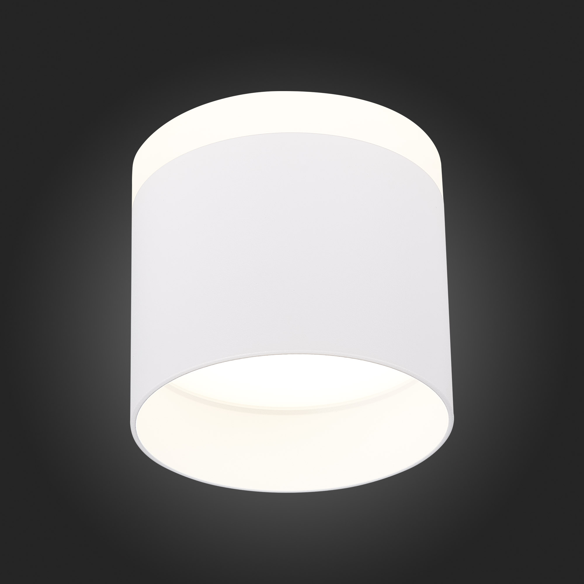 ST102.542.12 Светильник потолочный Белый LED 1*12W 4000K 936Lm Ra&gt;80 120° IP20 D100xH90 170-240V Накладные светильники