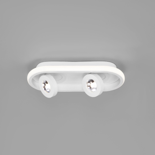https://cdn.eurosvet.ru/images/catalog/potolochnyy-svetodiodnyy-svetilnik-v-stile-loft-20123-2-led-belyy-a055527-0001.jpg