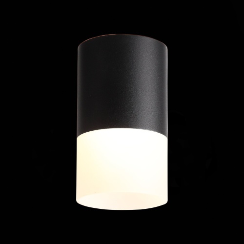 ST100.402.10 Светильник потолочный Черный LED 1*10W 3000K 780Lm Ra&gt;80 120° D78xH135 170-240VV Накладные светильники
