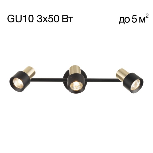 CL505631 SAT Черный+Зол. Св-к Наст.-Потол.