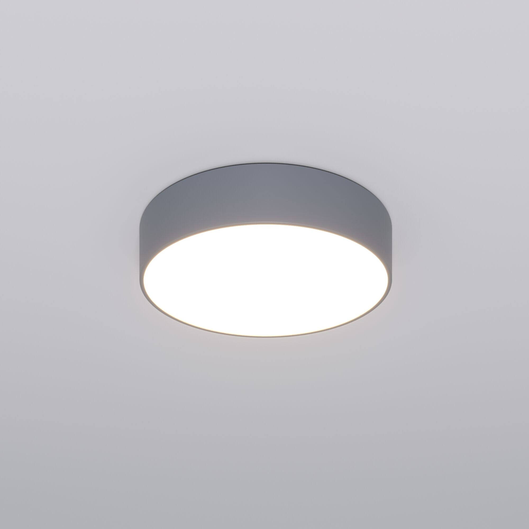 Потолочный светильник Eurosvet 90318/1 серый