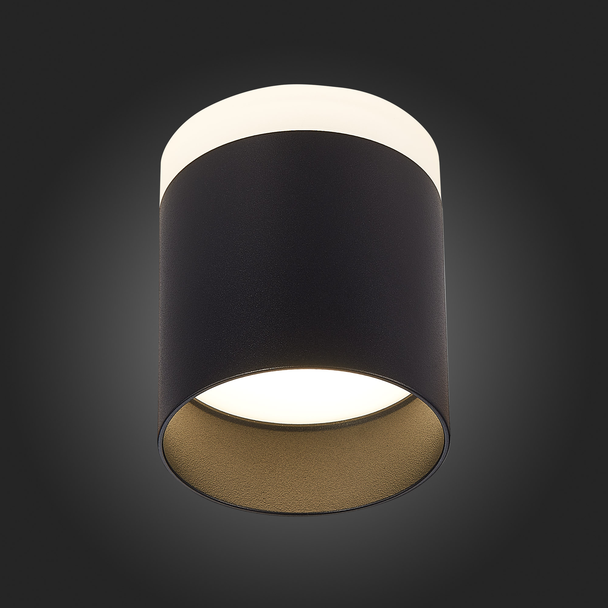 ST102.442.12 Светильник потолочный Черный LED 1*12W 4000K 936Lm Ra&gt;80 120° IP20 D100xH90 170-240V Накладные светильники