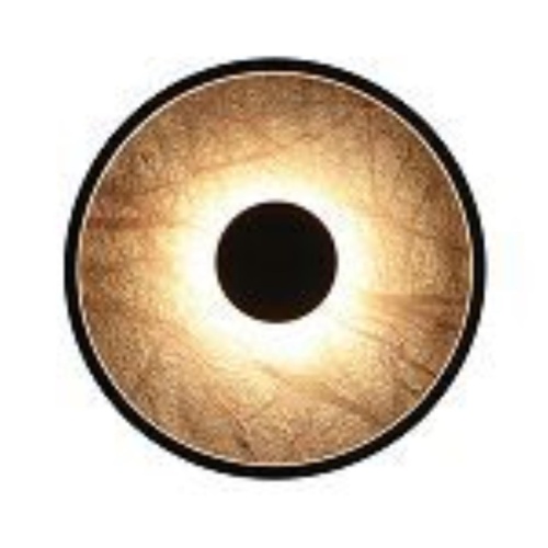 https://wbs.e-teleport.ru/Catalog_Pics/c904b3a3df8e8ddfa5d13b9f6ba63a5f.jpg