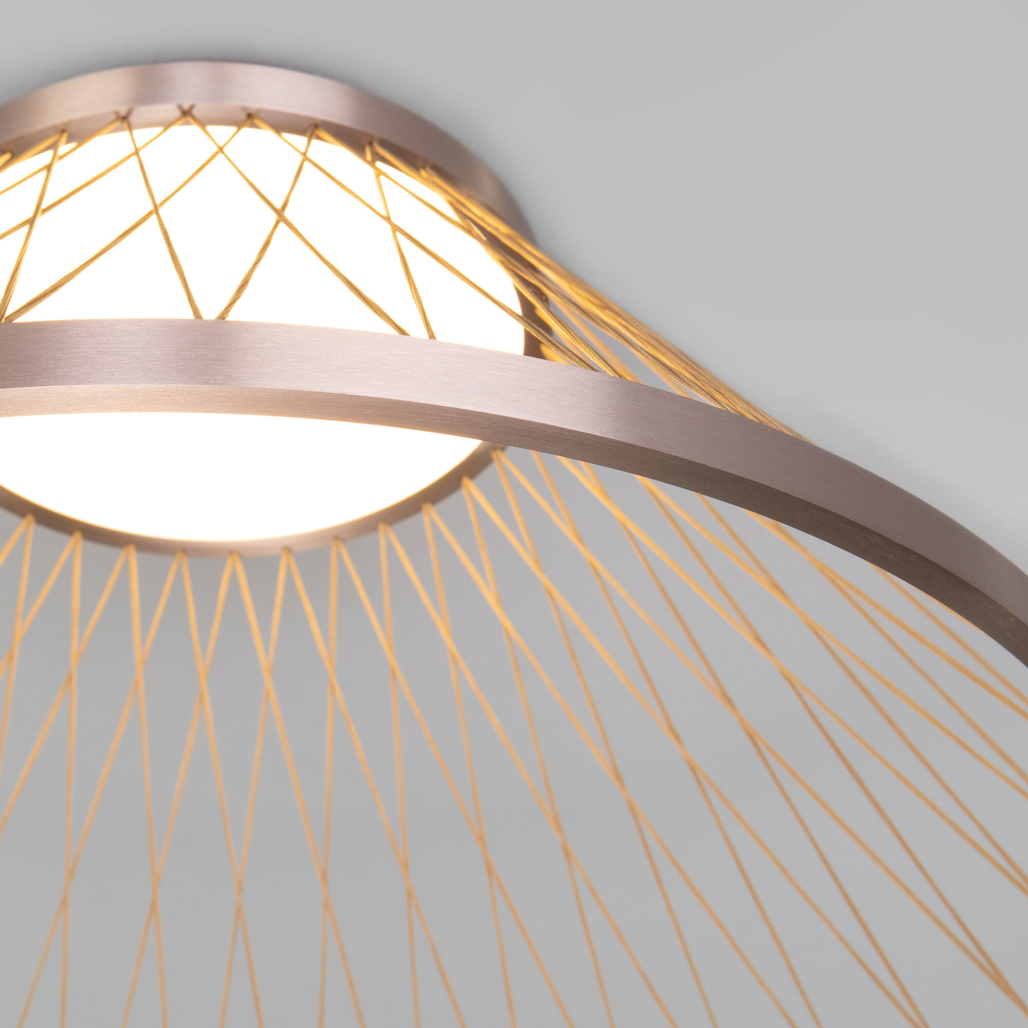 Потолочный светильник Eurosvet 40019/1 LED коричневый