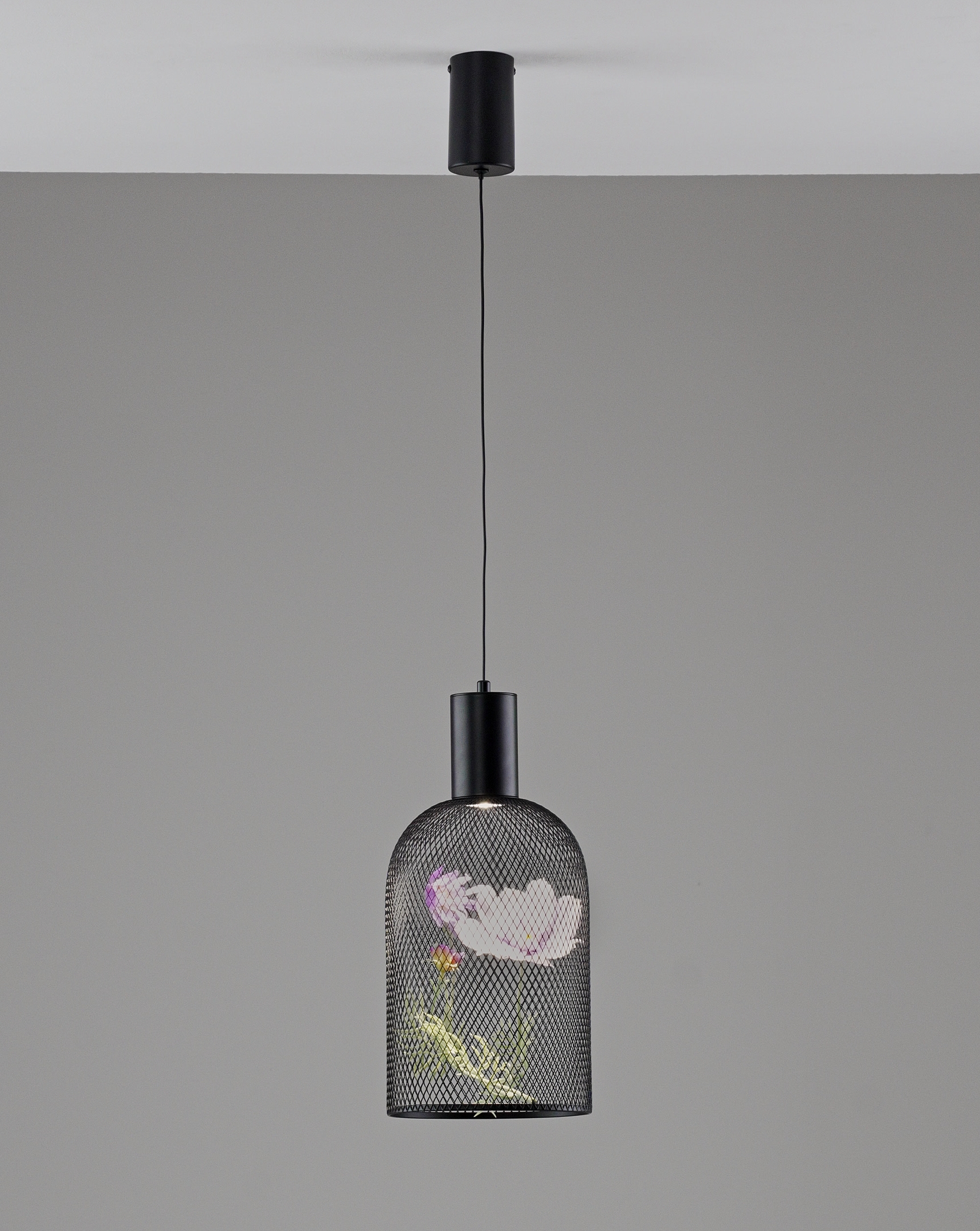 Светильник подвесной светодиодный Moderli V11874-PL Ophelia