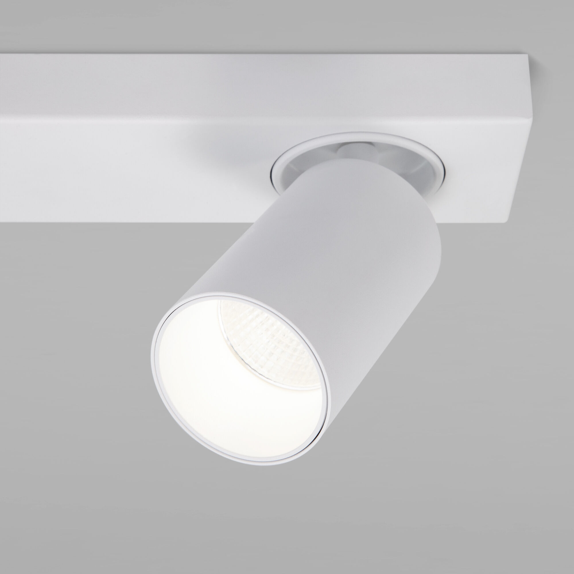Настенный светильник Eurosvet 20139/1 LED белый