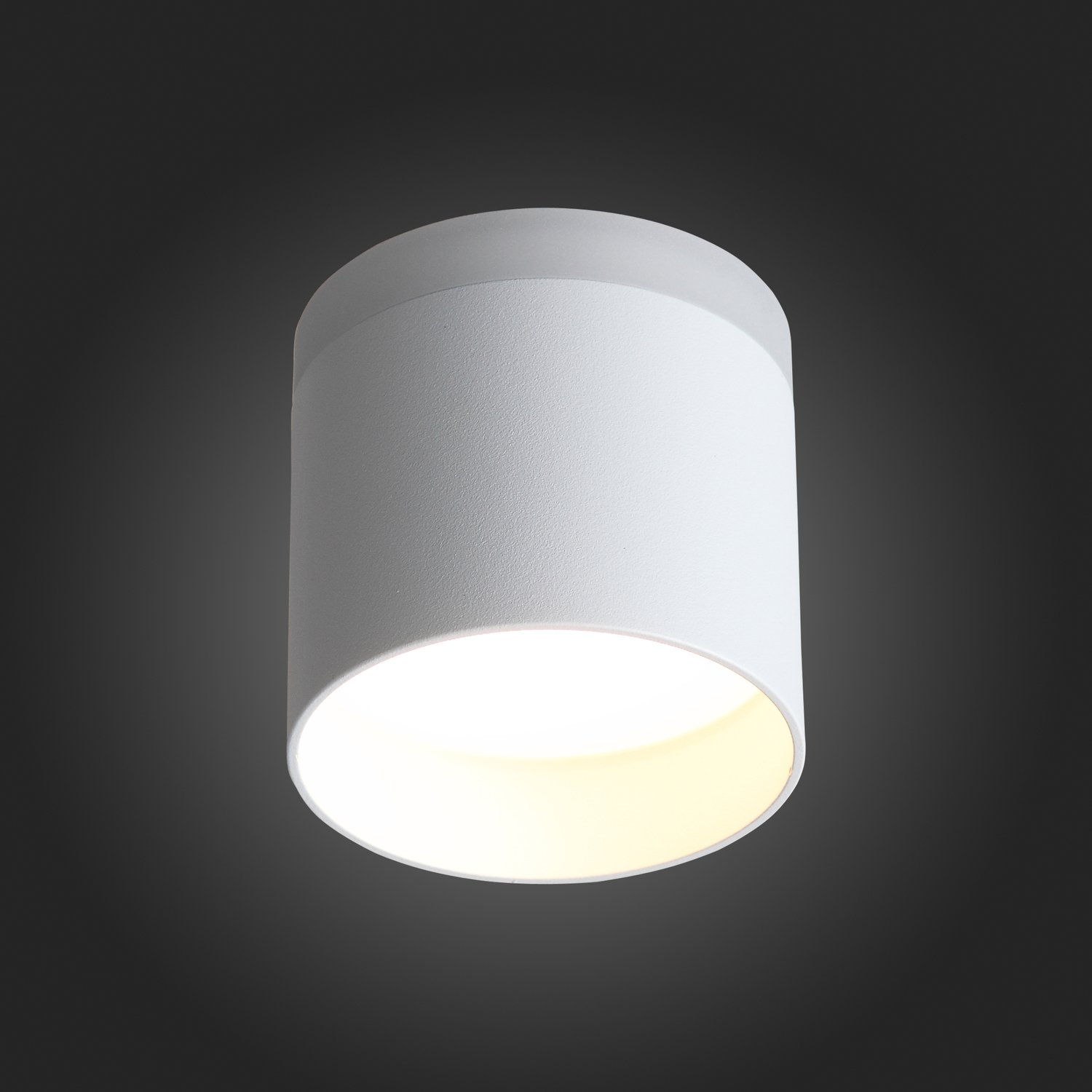 ST102.502.12 Светильник потолочный Белый LED 1*12W 3000K 936Lm Ra&gt;80 120° IP20 D100xH90 170-240V Накладные светильники