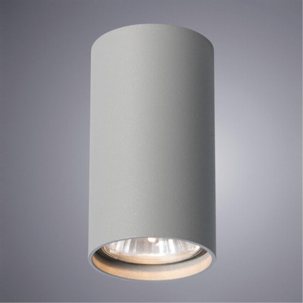 Накладной светильник Arte lamp A1516PL-1GY