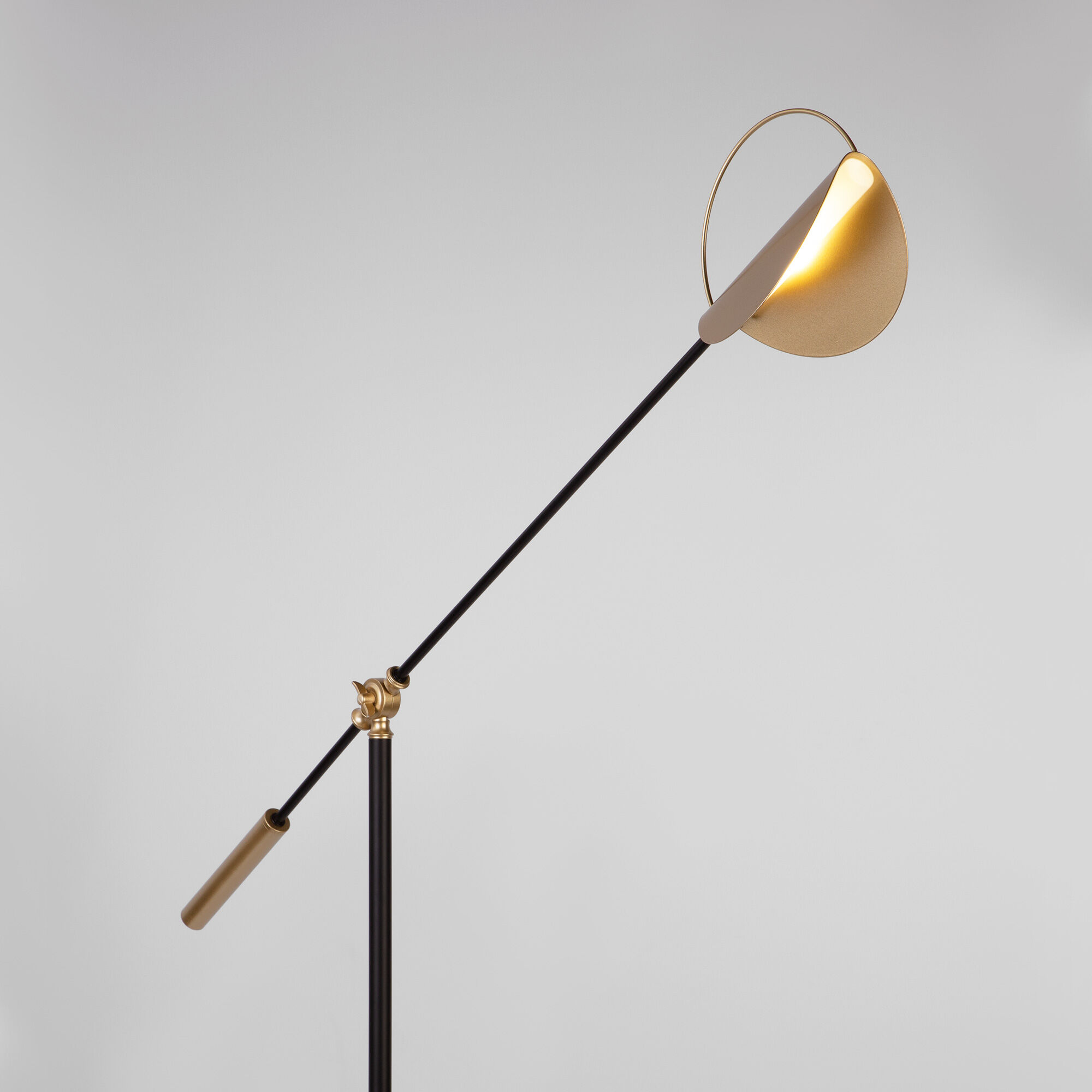 Напольный светильник Eurosvet 01143/1 черный/золото