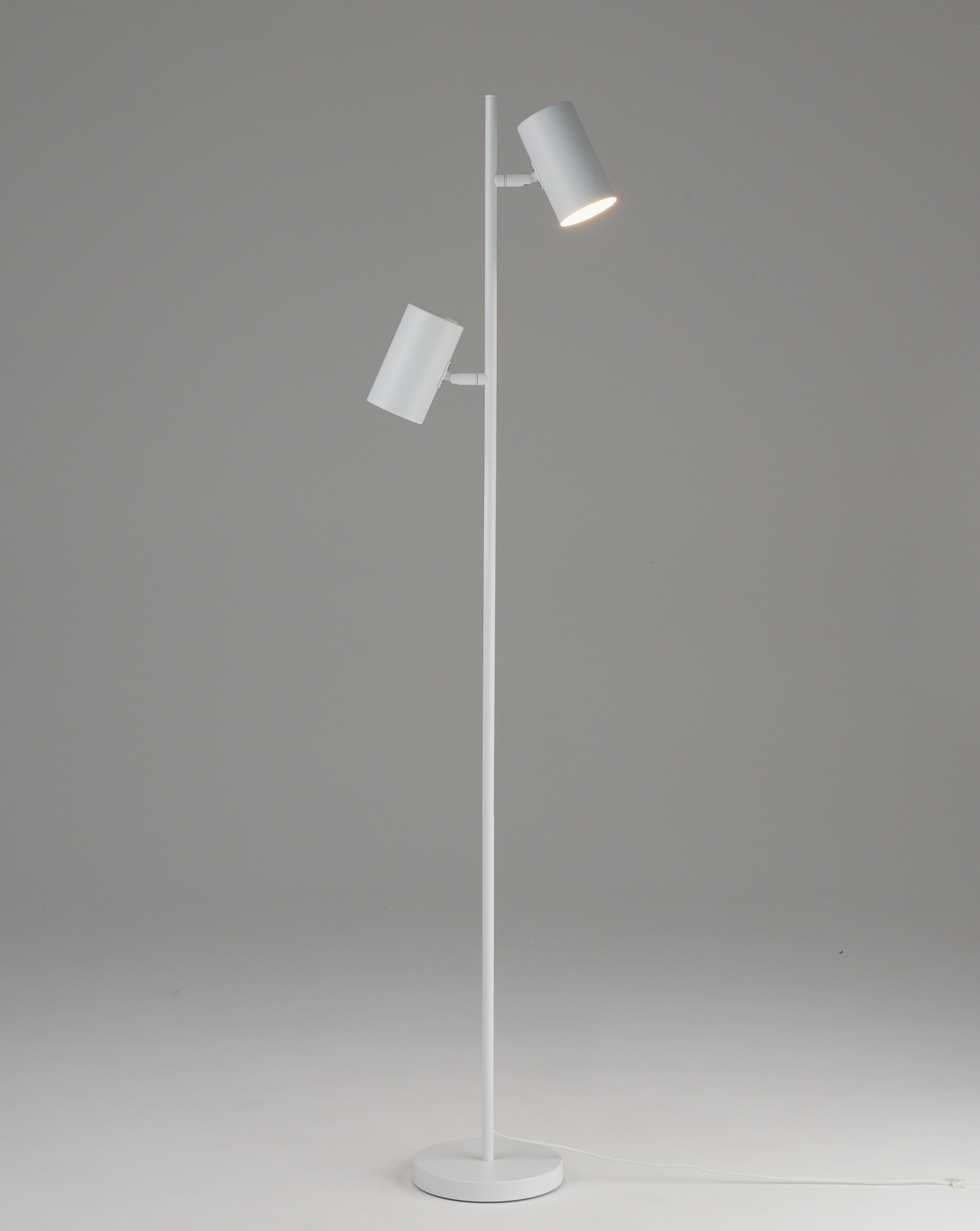 Торшер Moderli V11331-2F Ashes