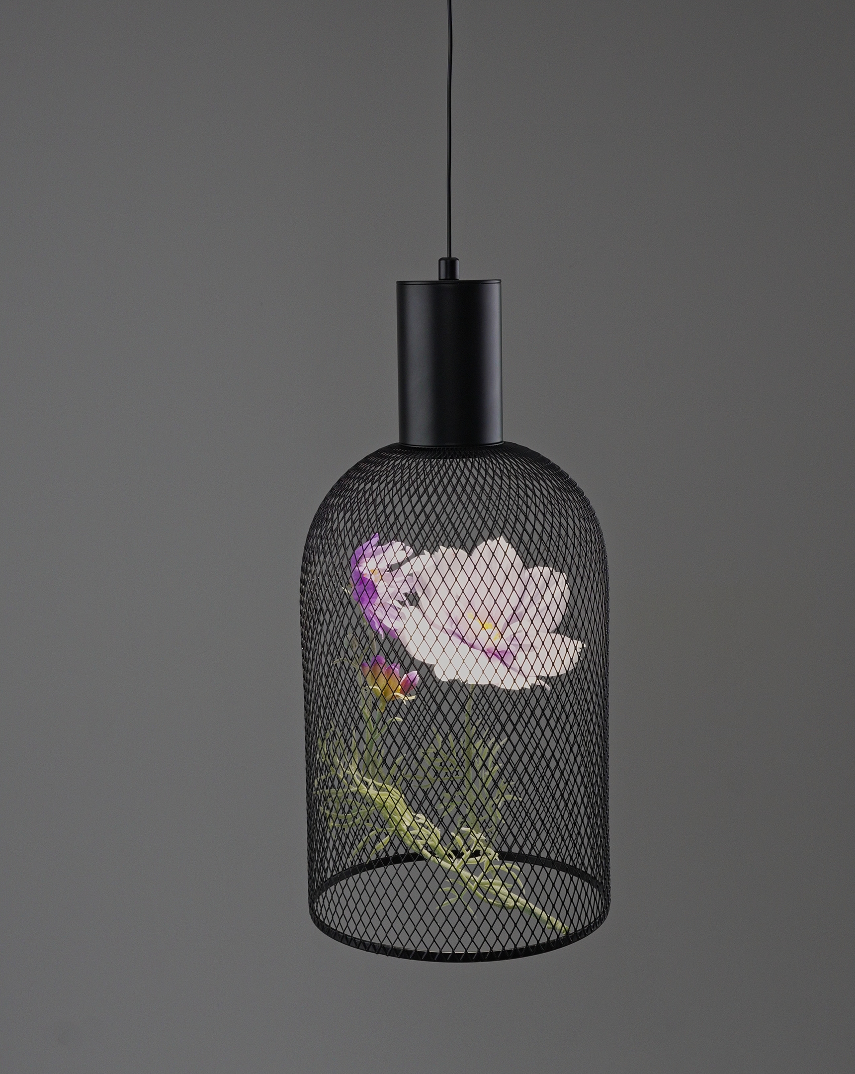 Светильник подвесной светодиодный Moderli V11874-PL Ophelia