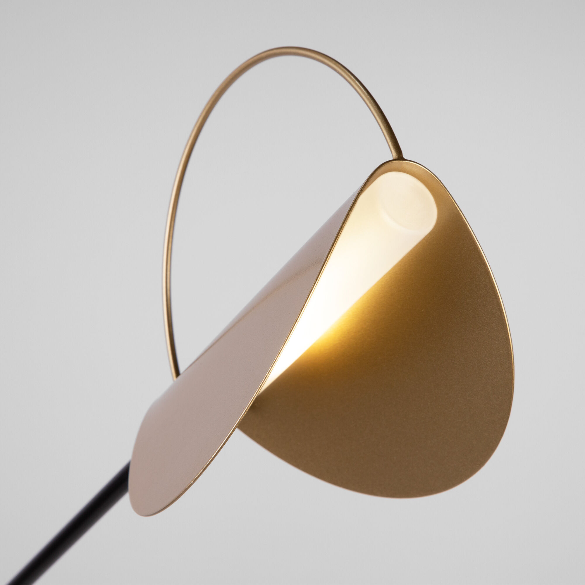 Напольный светильник Eurosvet 01143/1 черный/золото