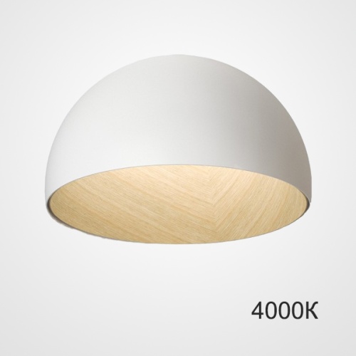 Потолочный Светильник Bara B D50 White 4000К от Imperiumloft 224006-23