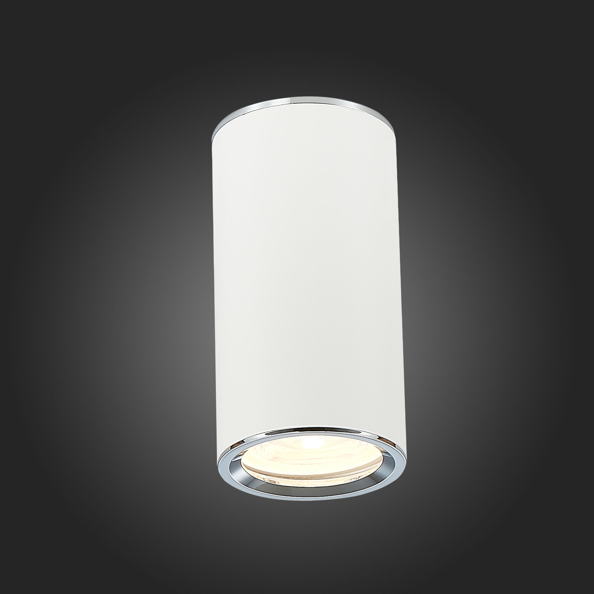 ST111.507.01 Светильник потолочный Белый GU10 1*50W  D54xH105 220V Без ламп Накладные светильники