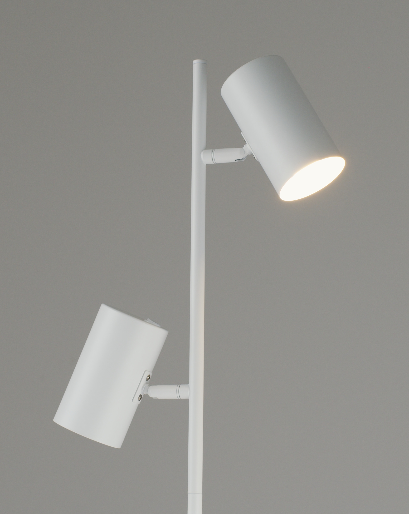 Торшер Moderli V11331-2F Ashes