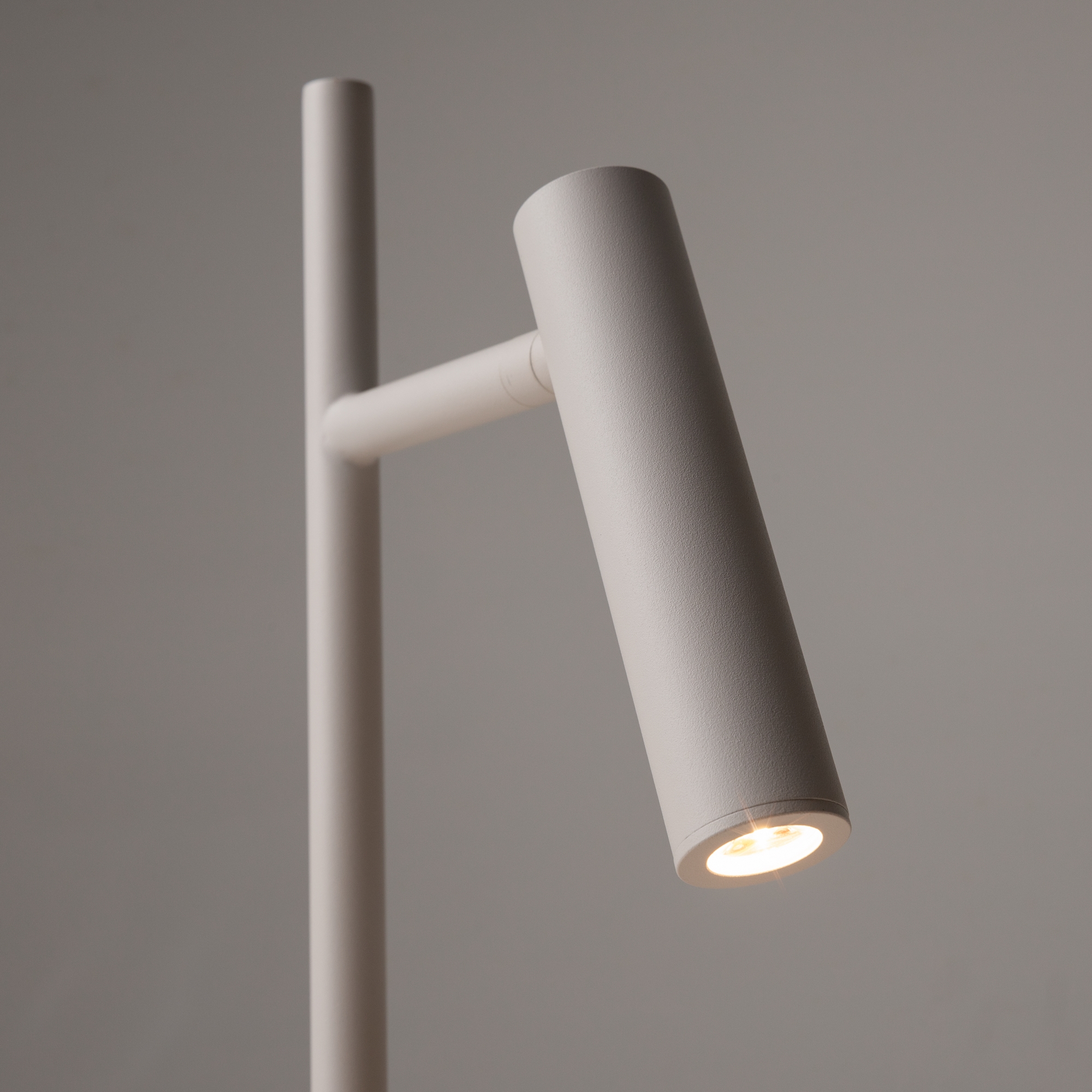 Напольный светильник (торшер) Maytoni Z010FL-L8W3K