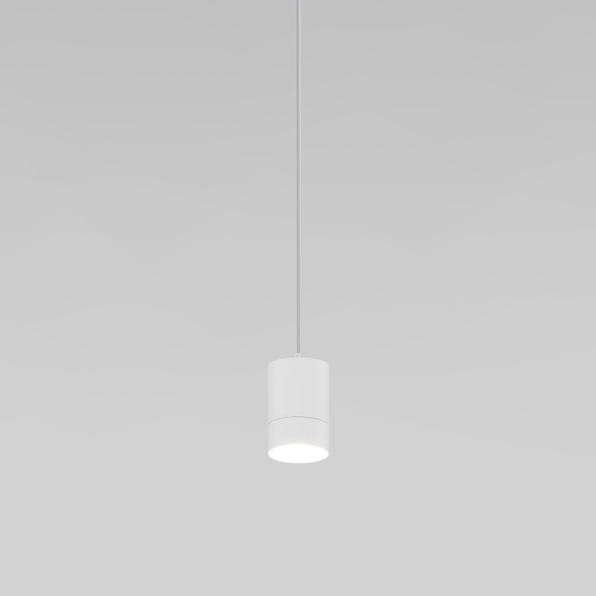 Подвесной светильник  белый Eurosvet 50248/1 LED