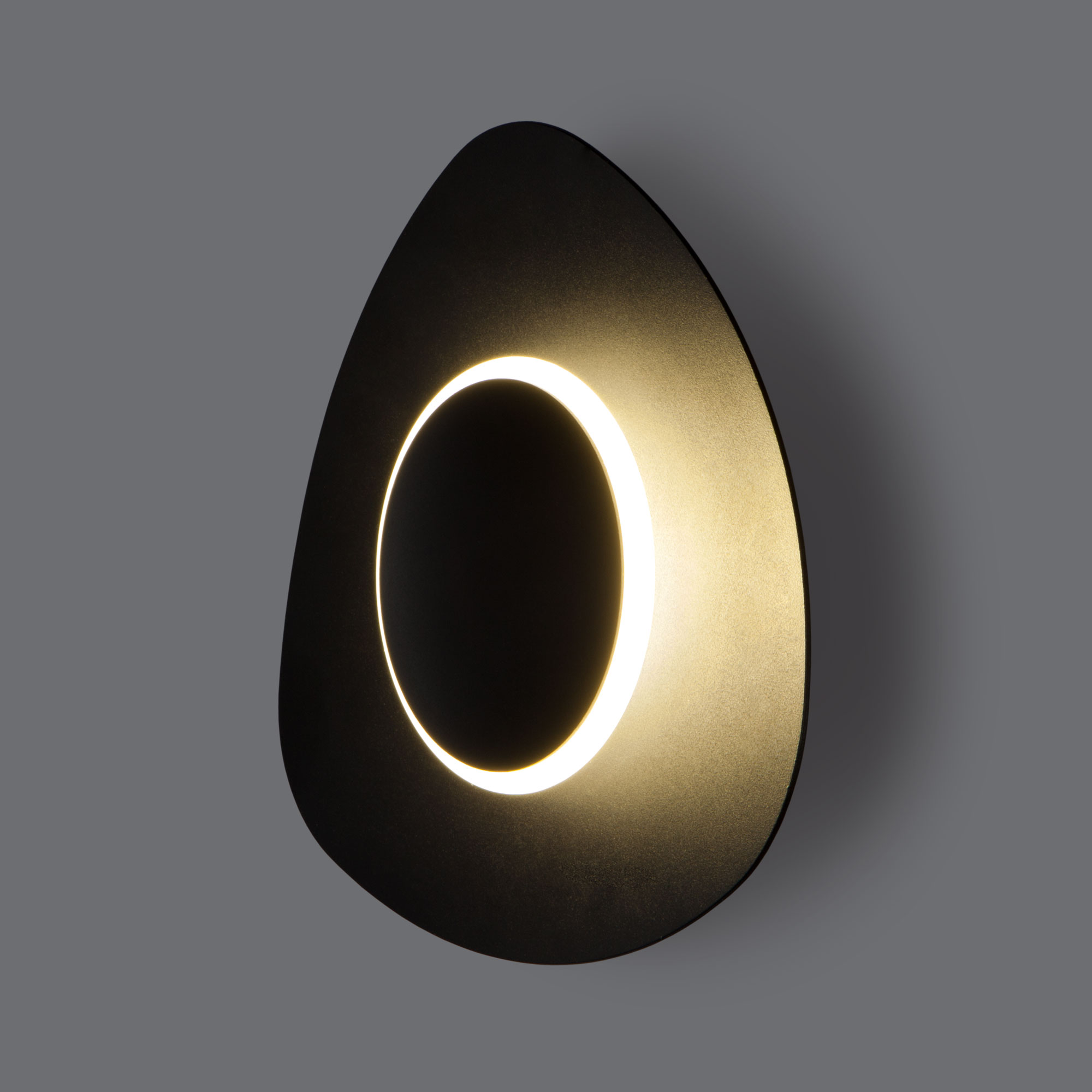 Настенный светильник Eurosvet 40151/1 LED черный