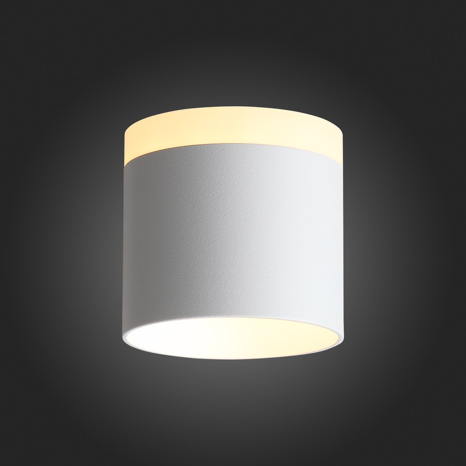 ST102.502.09 Светильник потолочный Белый LED 1*9W 3000K 702Lm Ra&gt;80 120° IP20 D79xH75 170-240V Накладные светильники