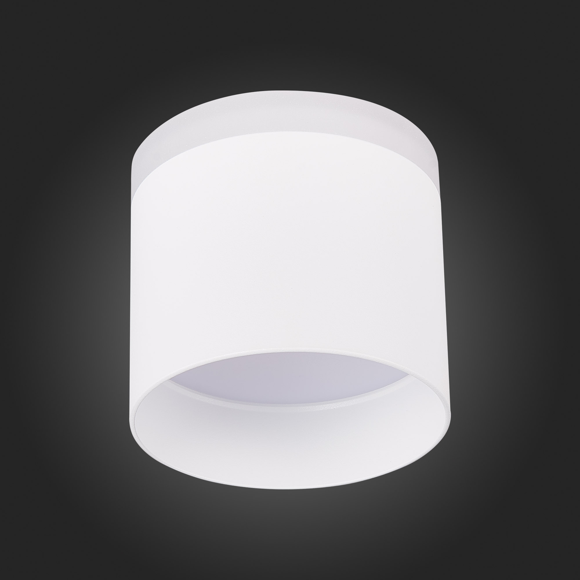 ST102.542.12 Светильник потолочный Белый LED 1*12W 4000K 936Lm Ra&gt;80 120° IP20 D100xH90 170-240V Накладные светильники