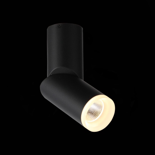 ST107.402.10 Светильник потолочный Черный LED 1*10W 3000K 780Lm Ra&gt;80 24 D50xH168 170-240V Накладные светильники