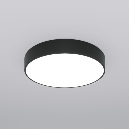 Потолочный светильник Eurosvet 90319/1 черный