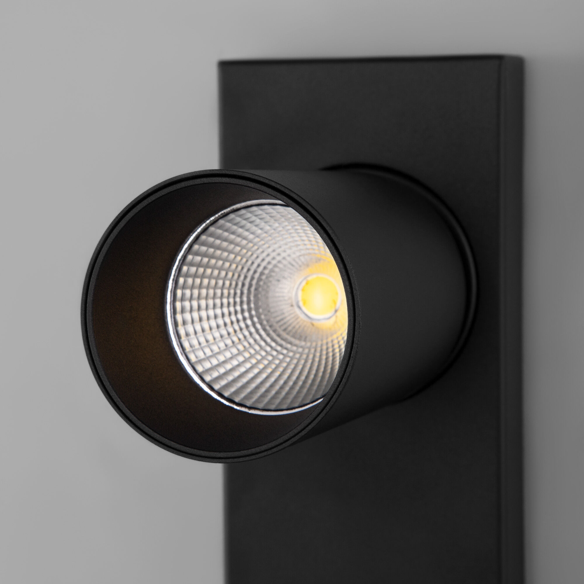 Настенный светильник Eurosvet 20139/1 LED черный