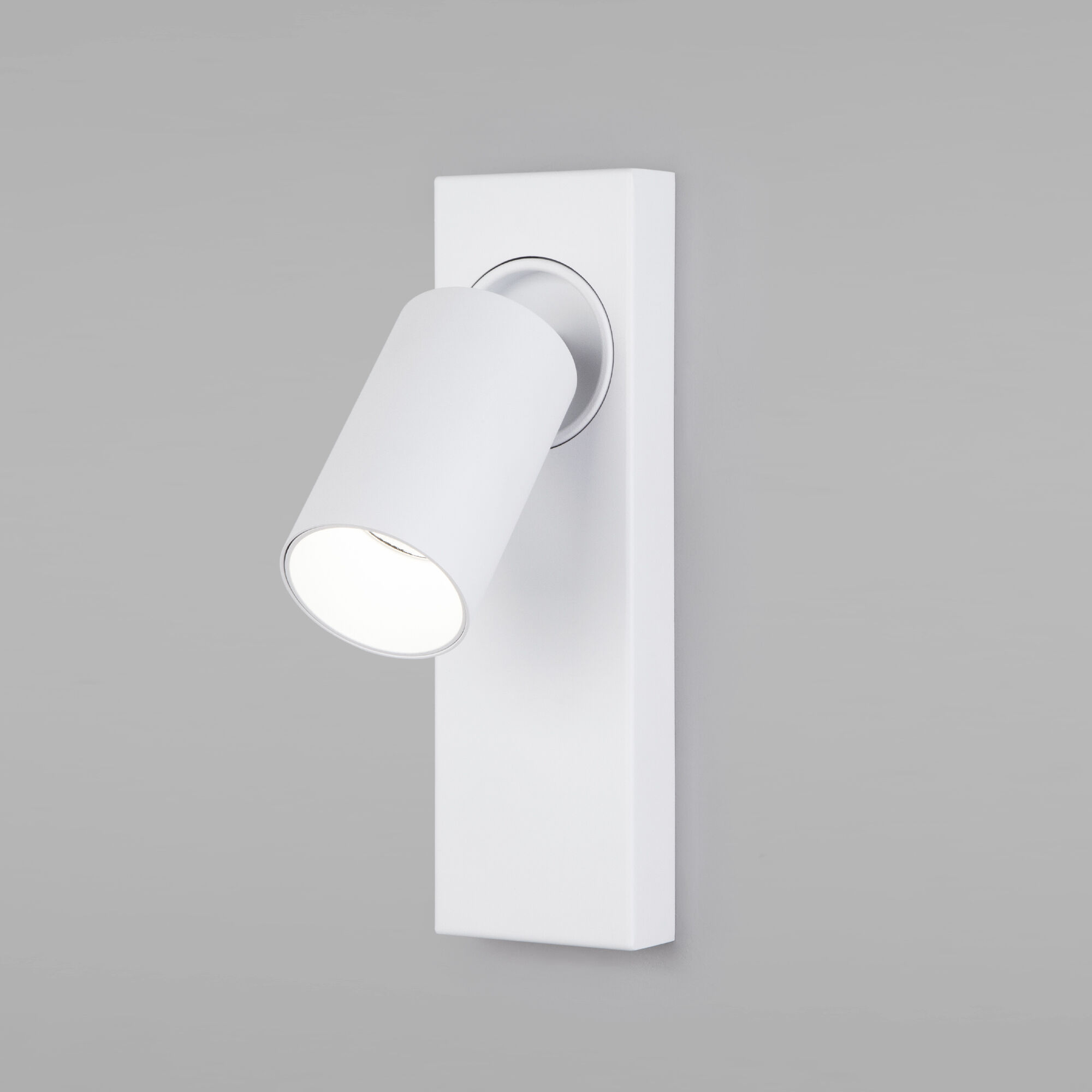Настенный светильник Eurosvet 20139/1 LED белый