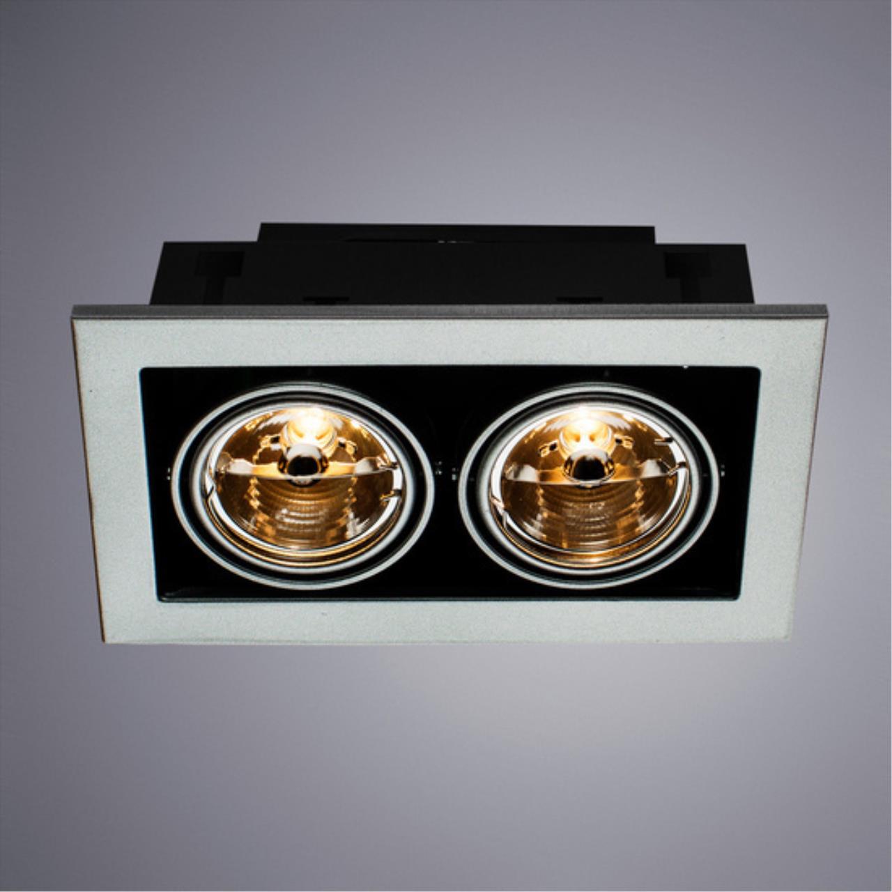 Карданный светильник Arte lamp A5930PL-2SI СВЕТИЛЬНИК ПОТОЛОЧНЫЙ ПОВОРОТНЫЙ