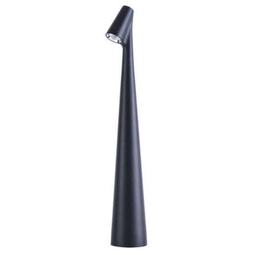 Интерьерная настольная лампа Arte lamp A3283LT-2BK