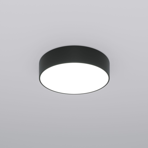 Потолочный светильник Eurosvet 90318/1 черный