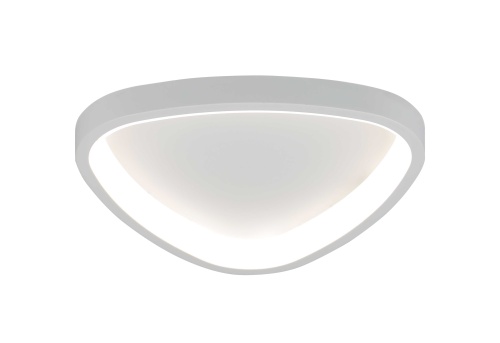 2530/400 WHITE (1) Потолочный светильник (RL)