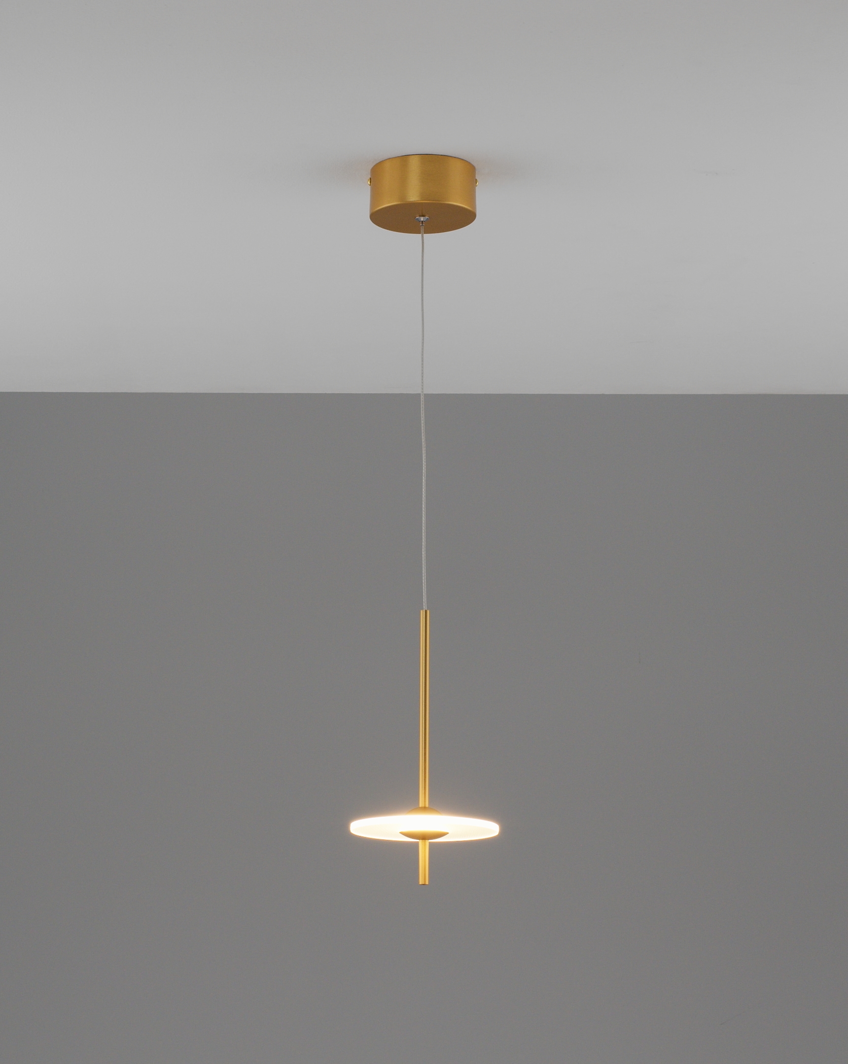 Светильник подвесной светодиодный Moderli V11390-PL Ella