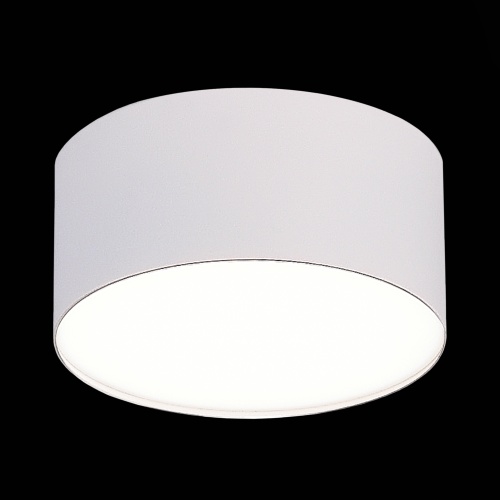 ST606.542.12 Светильник потолочный Белый LED 1*12W 4000K 1 080Lm Ra&gt;90 120° IP20 D120xH55 185-265V Накладные светильники