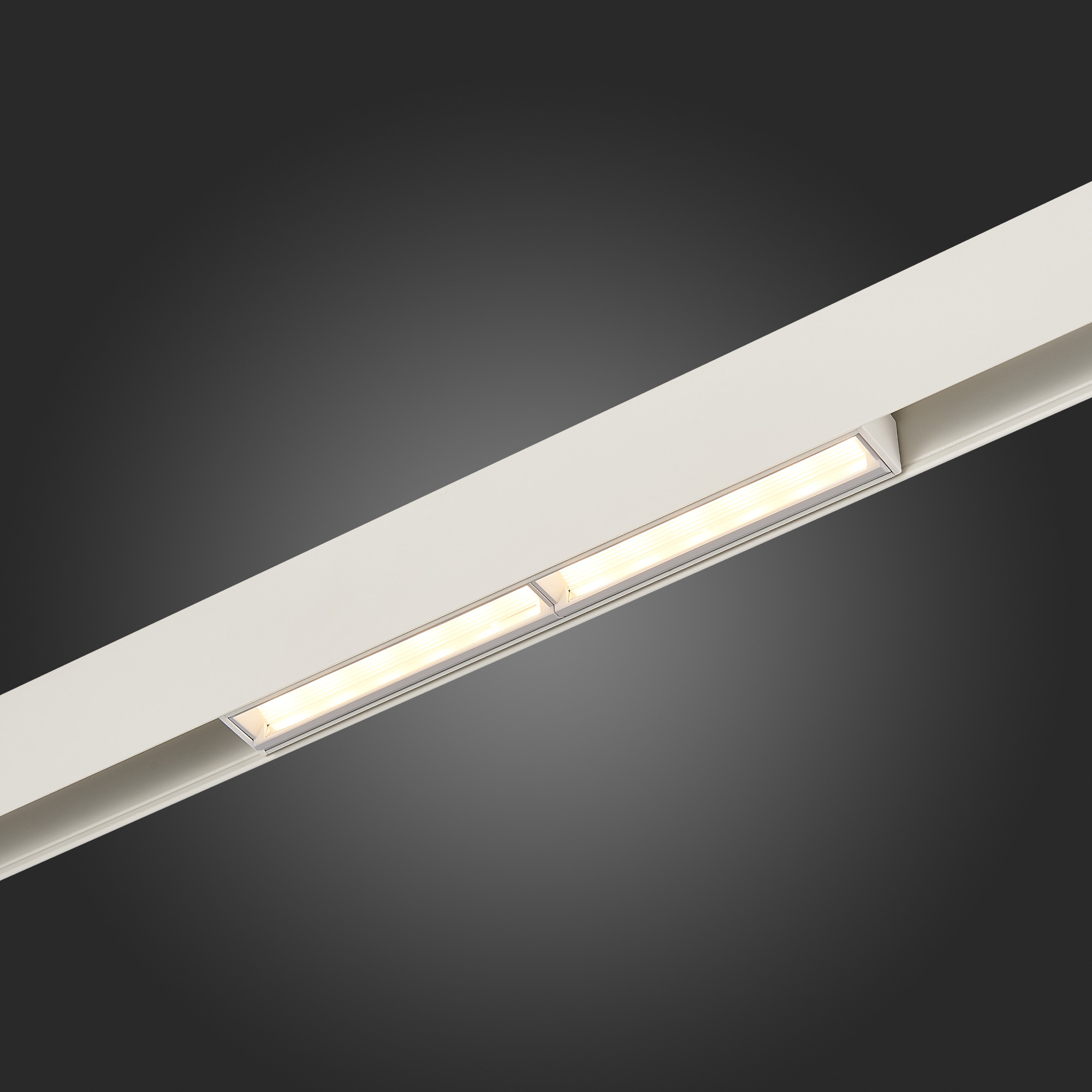 ST804.546.12 Магнитный трековый светильник Белый LED 1*12W 4000K 800Lm Ra&gt;90 120° IP20 L220xW22xH46 SKYLINE 48