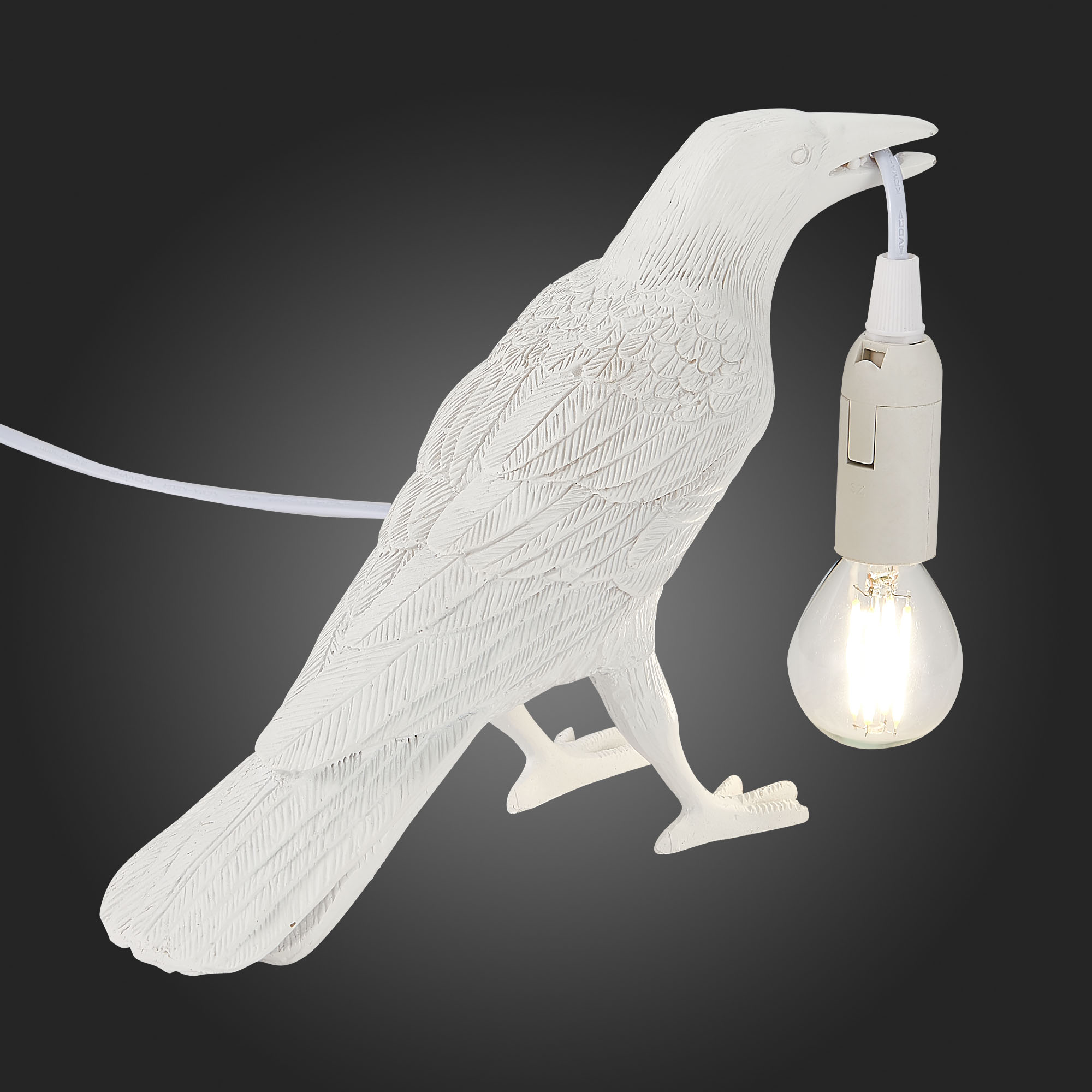 Прикроватная лампа EVOLUCE SLE115304-01