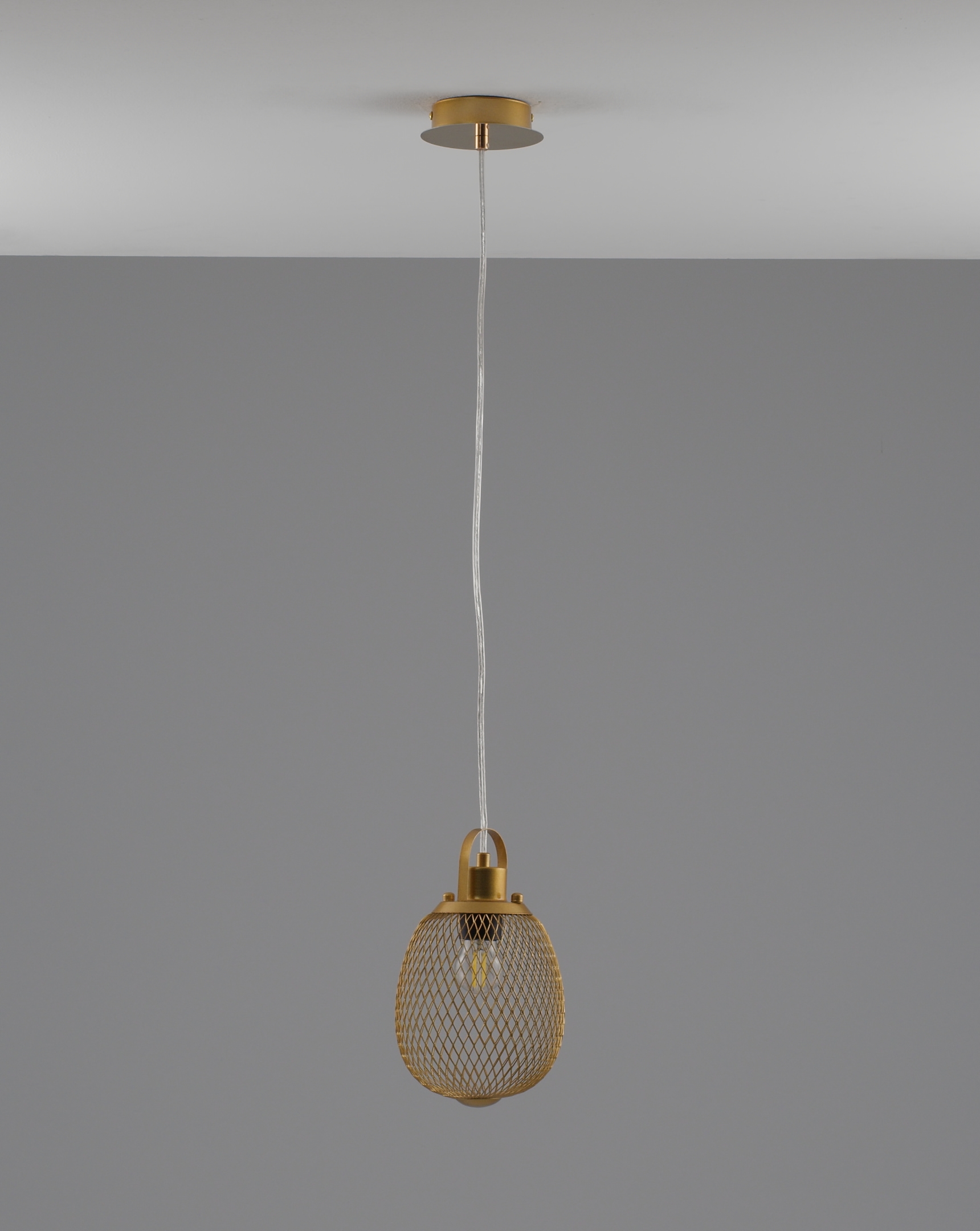 Светильник подвесной Moderli V11347-1P Campo