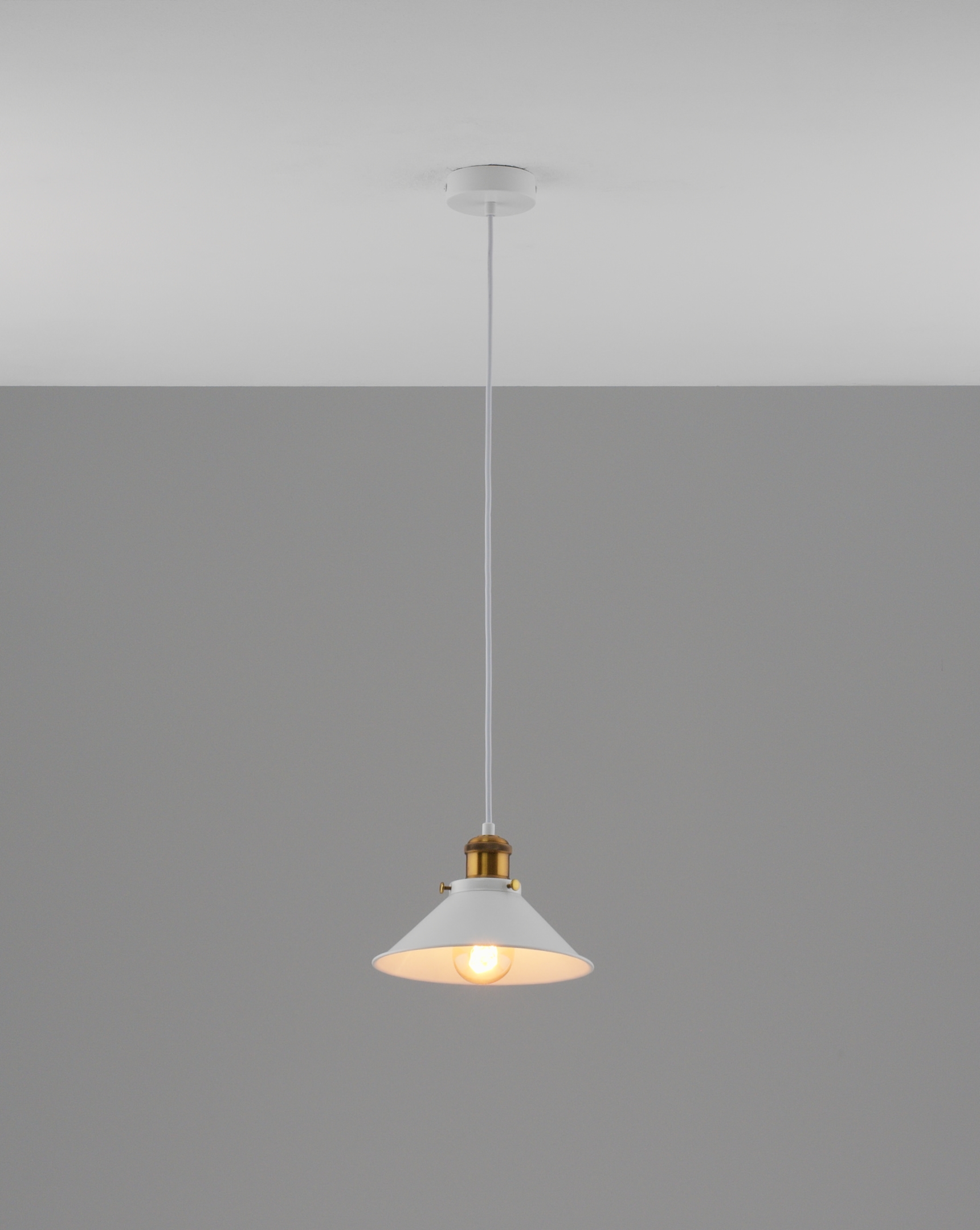 Светильник подвесной Moderli V11423-1P Night