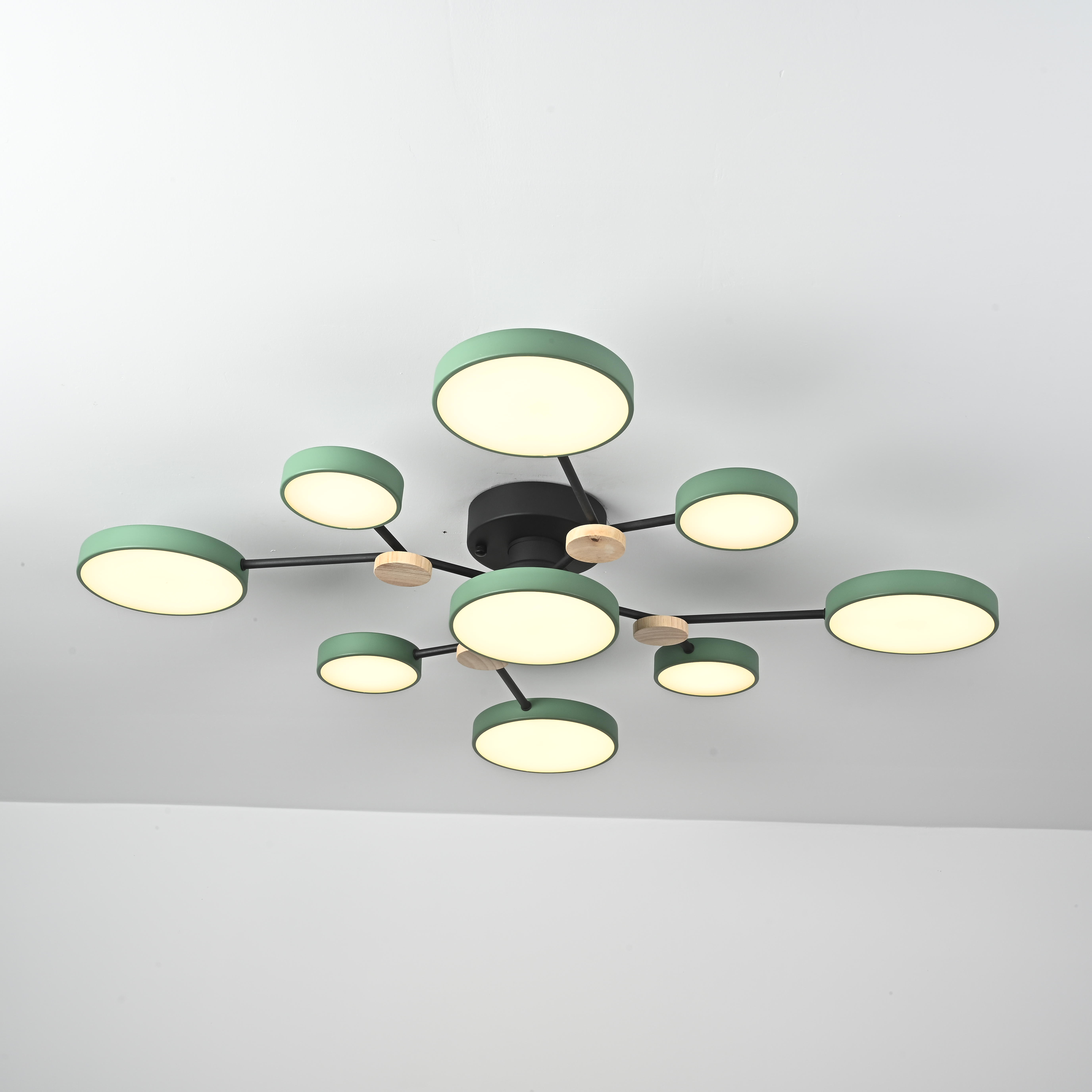 Потолочная Люстра Gamma D98 Green от Imperiumloft 223772-23